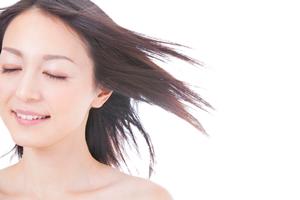 なんでも揃う頼れる美容ディーラー